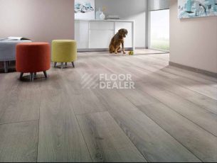 Alsafloor Osmoze СЕРЫЙ БИЛДИНГ 437 фото 2 | FLOORDEALER